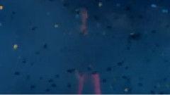 海洋最新爆料视频下载,最新海洋爆料视频深度解析