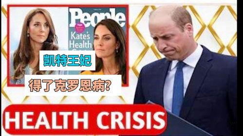 英国媒体最新爆料,揭秘某重大事件背后真相