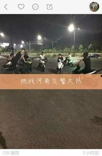 爆料洛阳网红视频大全最新,最新视频大全集锦