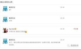 网民最新爆料视频在线观看,网民最新爆料视频，在线观看引发热议！