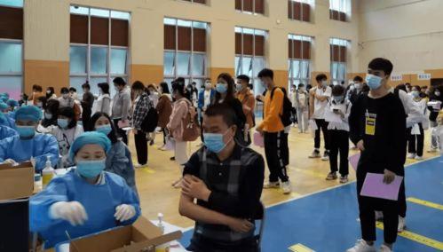 李博微信爆料最新消息视频,最新消息视频揭秘，精彩内容抢先看！